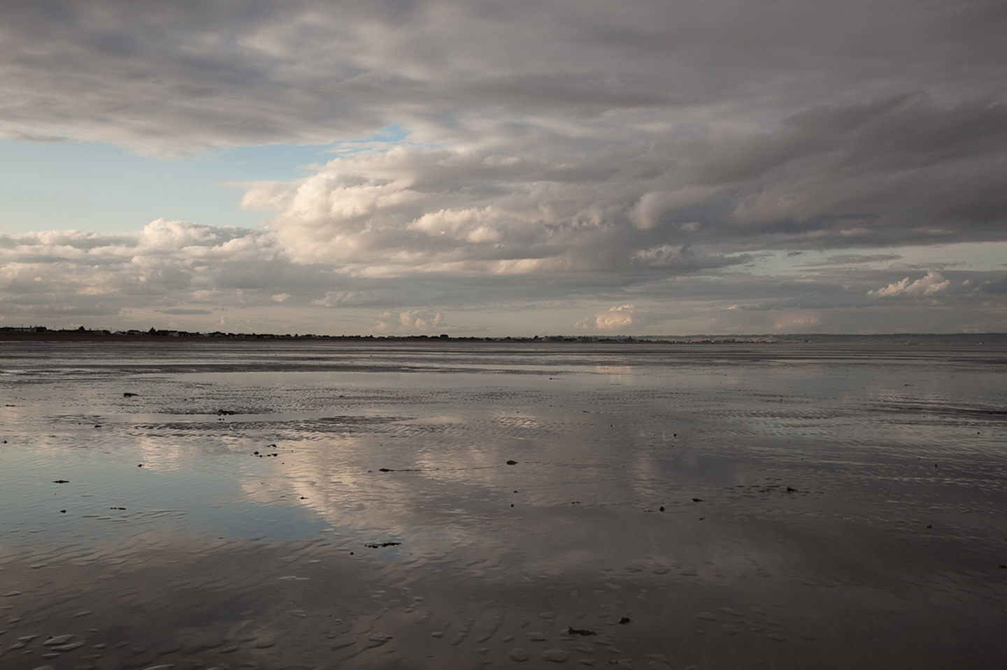 The Tide The Tide